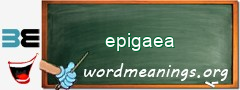 WordMeaning blackboard for epigaea